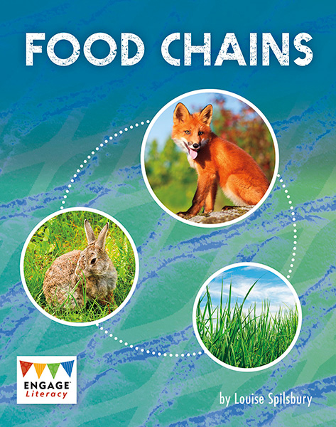 Food Chains (Paperback) | Raintree